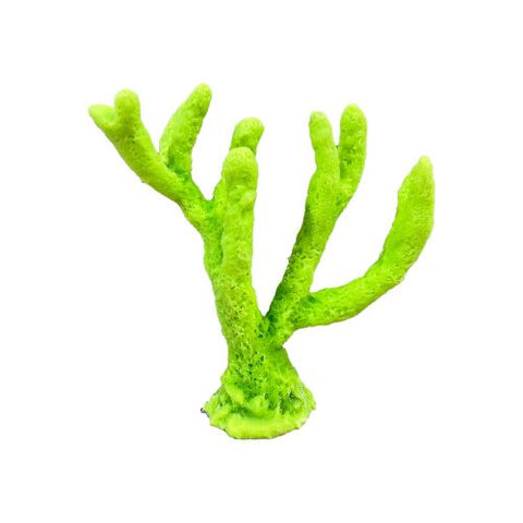 #98 Branch Coral