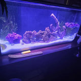 Barnacle Coral Frag Rack: 7-Hole Fish Hideout SANDBED