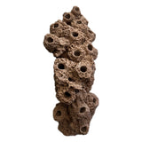 SANDBED Frag Rock for live coral 16 Hole Frag Arch: Aquarium Plug Rack