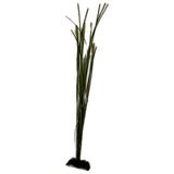 Ocean Aquaria Artificial Surfgrass (2 Size Options)