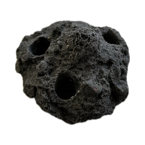 SANDBED 3 Hole Live Coral Frag Rock