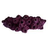 SANDBED Frag Rock for live coral 16 Hole Frag Arch: Aquarium Plug Rack