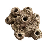 Barnacle Coral Frag Rack: 7-Hole Fish Hideout SANDBED