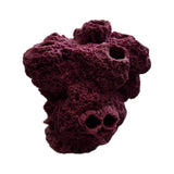Barnacle Coral Frag Rack: 7-Hole Fish Hideout SANDBED