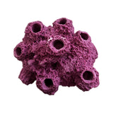 Barnacle Coral Frag Rack: 7-Hole Fish Hideout SANDBED