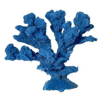 #93 Branch Coral