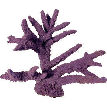 #95 Branch Coral