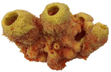 #625 Caribbean Sponge Cluster