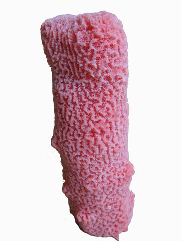 artificial corals medium pillar coral