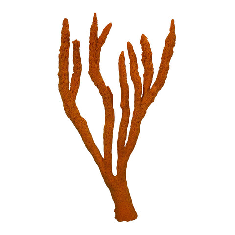 #12N Finger Claw Caribbean Sponge