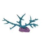 #331 Staghorn