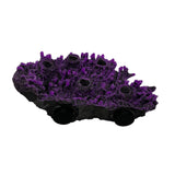 MAGNETIC 5 Hole Frag Shelf