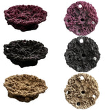 SANDBED 5 Hole Acropora Frag Plate Rock