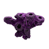 MAGNETIC 5 Hole Frag Rock