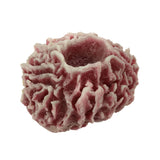 Barrel Ridge sponge #635