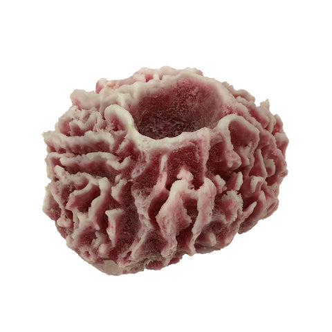 Barrel Ridge sponge #635