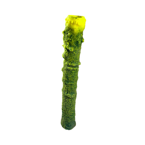 #638 MED Stovepipe Sponge