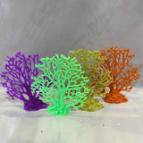 #701 Small Fire Coral Fan