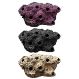 SANDBED 7 Hole Live Coral Frag Rock