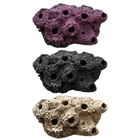 SANDBED 7 Hole Live Coral Frag Rock