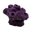 7 Hole Cave Frag Rock