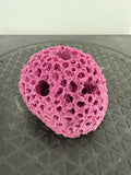 5 Hole frag rack live coral plug rock base