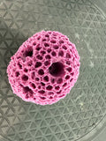 5 Hole frag rack live coral plug rock base