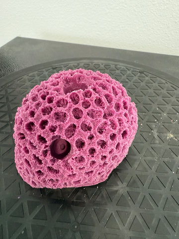 5 Hole frag rack live coral plug rock base