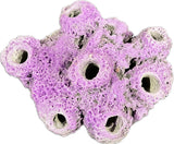 7 Hole Cave Frag Rock