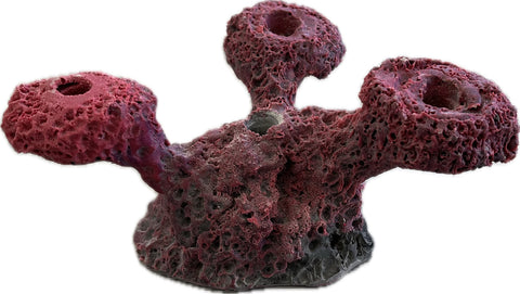 SANDBED 4 Hole Frag Rock