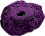 MAGNETIC Single Hole Frag Rock 3 PACK