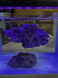 SANDBED 7 Hole "Floating Look" Frag Rock Island for Live Coral