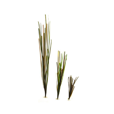 Pangea Artificial Eelgrass