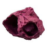 MAGNETIC Barnacle Swim Through