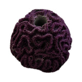 SANDBED 1 Hole Live Coral Frag Brain Rock