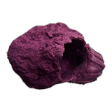 MAGNETIC Barnacle Swim Through