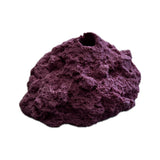 SANDBED 1 Hole Frag Rack/Rock for Live Coral Plug Ons