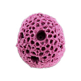 5 Hole frag rock star coral for live coral plugs.