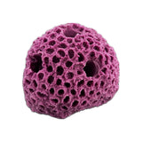 5 Hole frag rock star coral for live coral plugs.