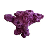 MAGNETIC 5 Hole Cross Frag Rock