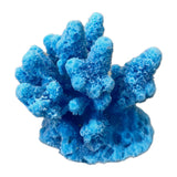 #0100 Mini Gem Acropora