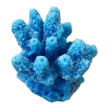 #0100 Mini Gem Acropora