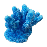 #0100 Mini Gem Acropora