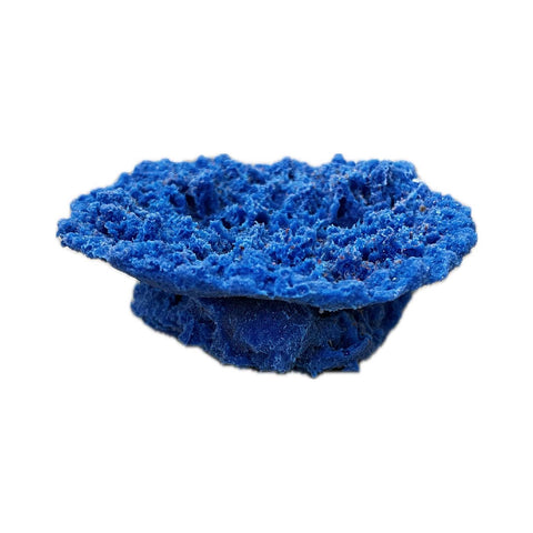 #115 Small Plate Coral aquarium decor