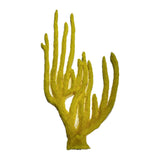 #108 Eunicella Singularis Sea Whip