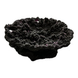 SANDBED 5 Hole Acropora Frag Plate Rock