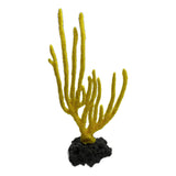 #108 Eunicella Singularis Sea Whip