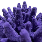 #101 Gem Coral aquarium decorations