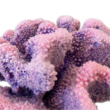 #121 Large Cauliflower Acropora aquarium decoration