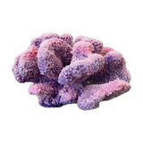 #121 Large Cauliflower Acropora aquarium decoration